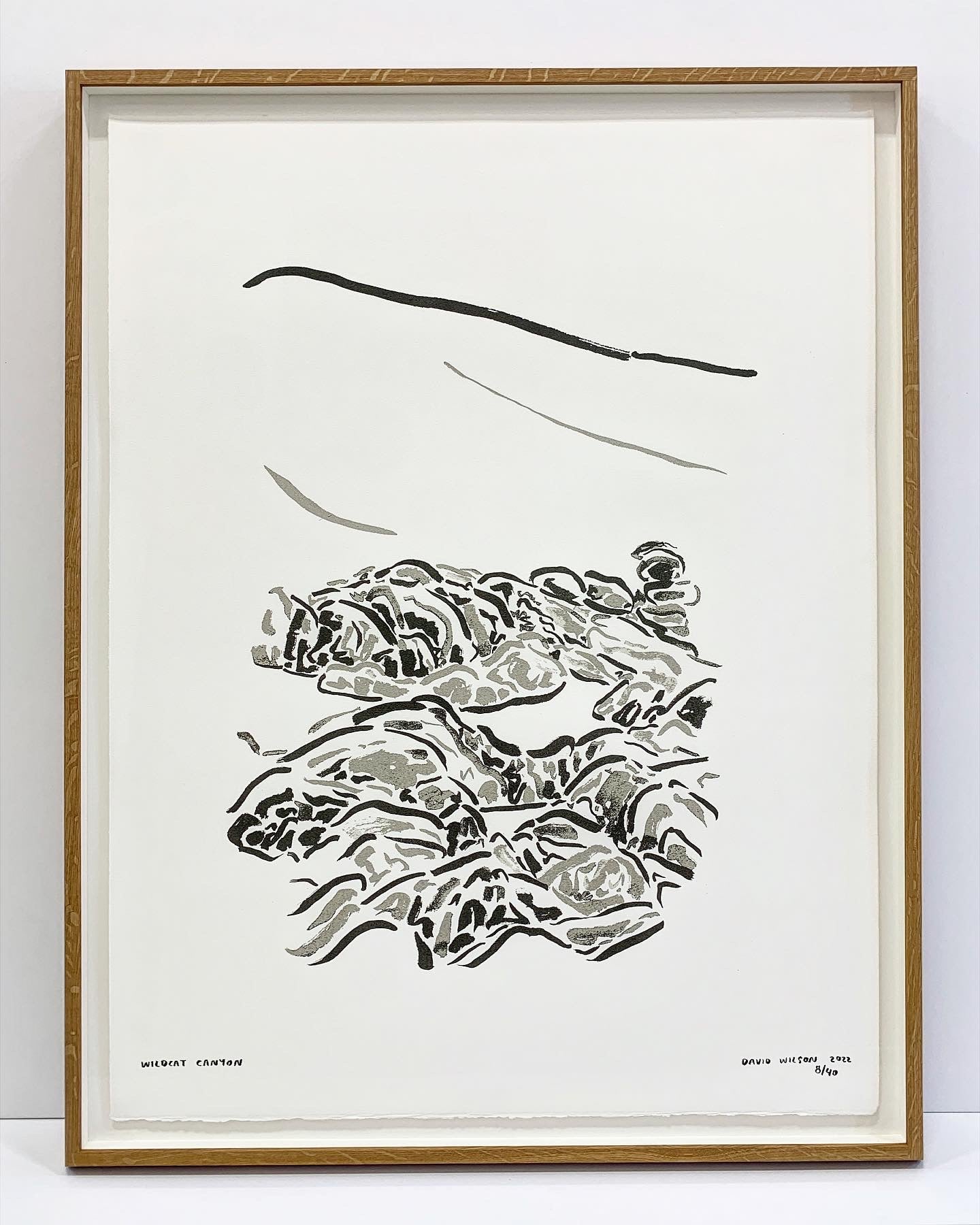 David Wilson “Wildcat Canyon” screen print edition of 40